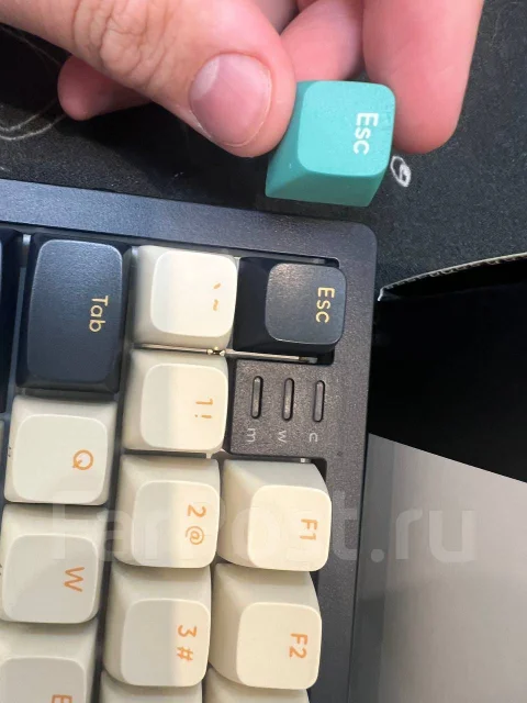 ����������. ����