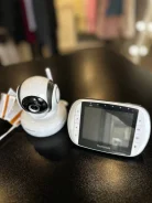Motorola ����