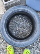 Presa PS55. ������, 2019 ���, �/�, ����� 20 % ����