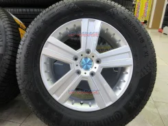 Abe Shokai EuroPremium Werner