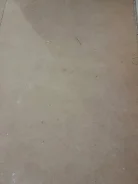 ���. ����