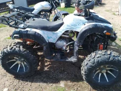 Yamaha Grizzly 250. ����������, ��� ���\���, �� ����