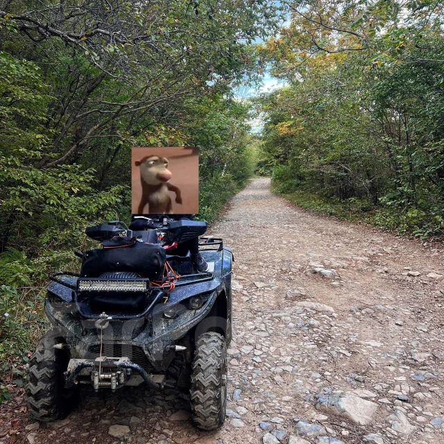 Linhai-Yamaha D200. ��������, ��� ���\���, �� ����