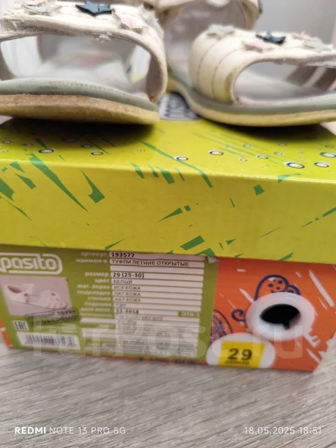 ���������. 29 ����