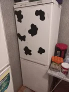 ������������. ����