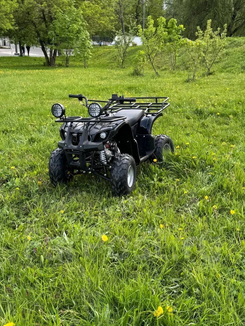 Grizzly 125. ��������, ��� ���\���, ��� ������� ����