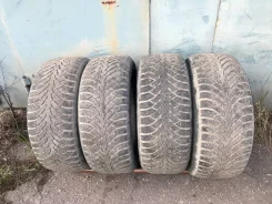 Nordman 4. ������, ��� �����, 2012 ���, �/�, ����� 40 % ����