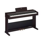    ,   ,  , Yamaha YDP-105R Arius 