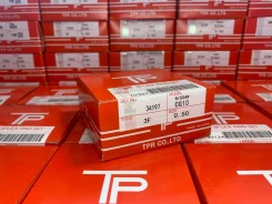 ��������� ������ TPR (0,5) CG10 Nissan Cube/March/Micra 34197 ����