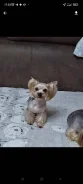 ����������� ������. ����