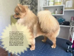 ����. ����