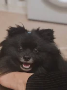 ����. ����