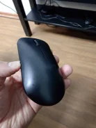 ���� ������������. ����