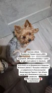 ����������� ������. ����