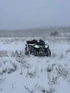 Yamaha Grizzly. ��������, ��, �� ����