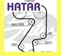 ������ ��� Gates 5404XS 177x25 5404XS ����
