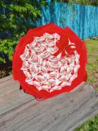 ����� �� �������� ����