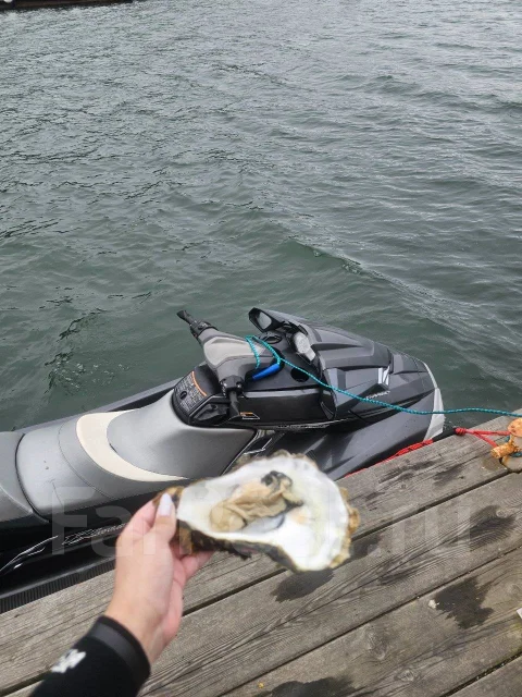Yamaha FX Cruiser SHO. 2012 ��� ����