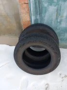 GrandTour. ������, 2024 ���, �/�, ����� 5 % ����