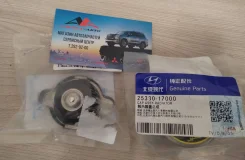 ������ ��������� Hyundai/KIA 25330-17000 2533017000 0,9 25330-17000 ����