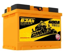 Ginnes