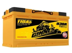 Ginnes