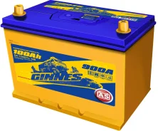 Ginnes