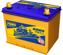 Ginnes