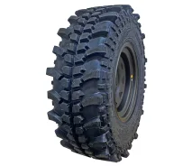 Lakesea Alligator. ����� mt, 2025 ���, ����� ����