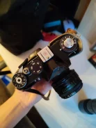 �����. ���: 14� � ����� ����