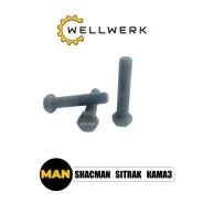 ���������� ����, 06028159022 �o�� Wellwerk 06028159022 ����