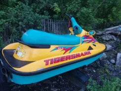 Arctic Cat. 2000 ��� ����