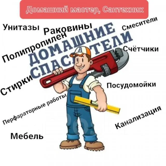 ����������. ����