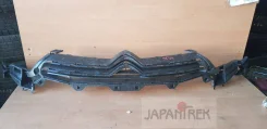 ������� Citroen C4 9844 9844 ����