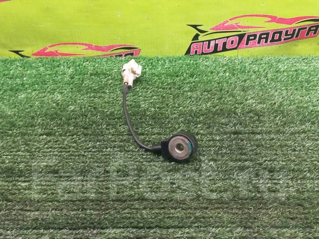 ������ ��������� ����
