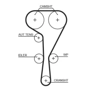 �������� ����� ��� Gates K035550XS K035550XS ����