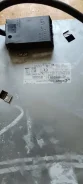 �������� �����������. ����