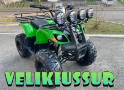 Yamaha Grizzly 125. ��������, ��� ���\���, ��� ������� ����