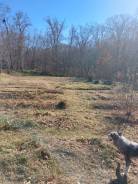 ������ ������� � ��� "�����". 15����., ������������� ����