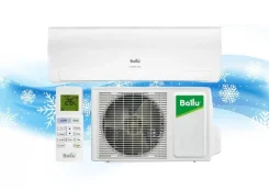 Ballu. 25��&sup2; ����