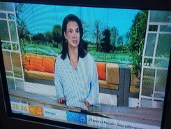 Samsung. CRT (���) ����