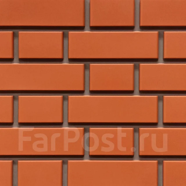 ������ ��������. ����