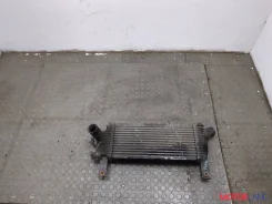 �������� ����������� Nissan Pathfinder 2004-2014 20313174 14461EB360 ����