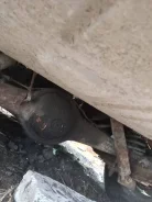 �� 2715 ����