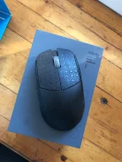 ���� �������. ����