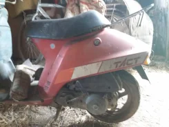 Honda Tact ����