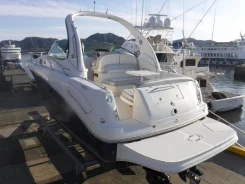 Searay. 2006 ���, ����� 9,6��., ��������� ������������, ������. ��� ����� �� ������������ ����