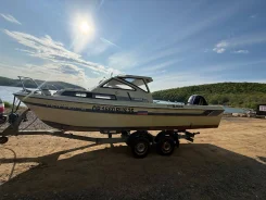 Yamaha Fish 22. 1996 ���, ����� 6,5��., ��������� ���������, 150��.�., ������ ����