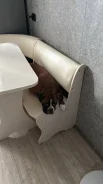 ������. ����