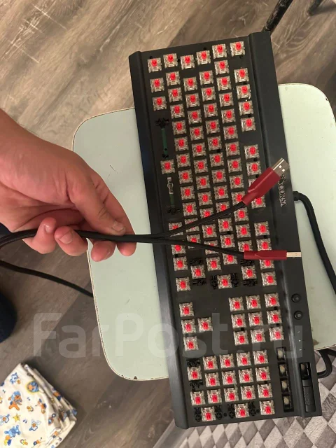 ����������. ����